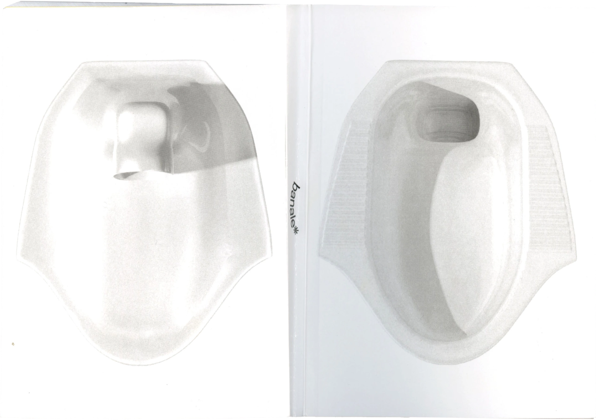 Publication, over and backcover